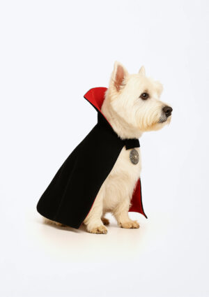 Molde PDF Roupa Pet Fantasia - Drácula - Imagem 2
